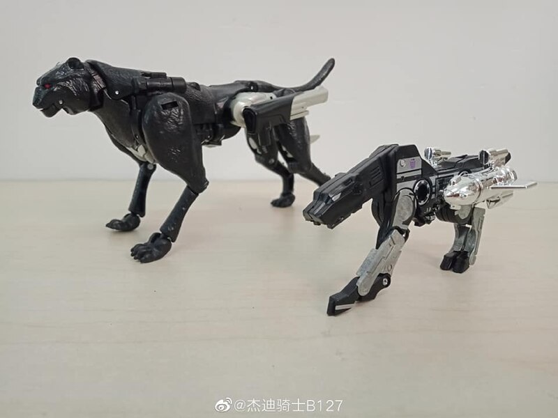 MORE Transformers Agent Ravage Images Cheetor Compared  (5 of 67)